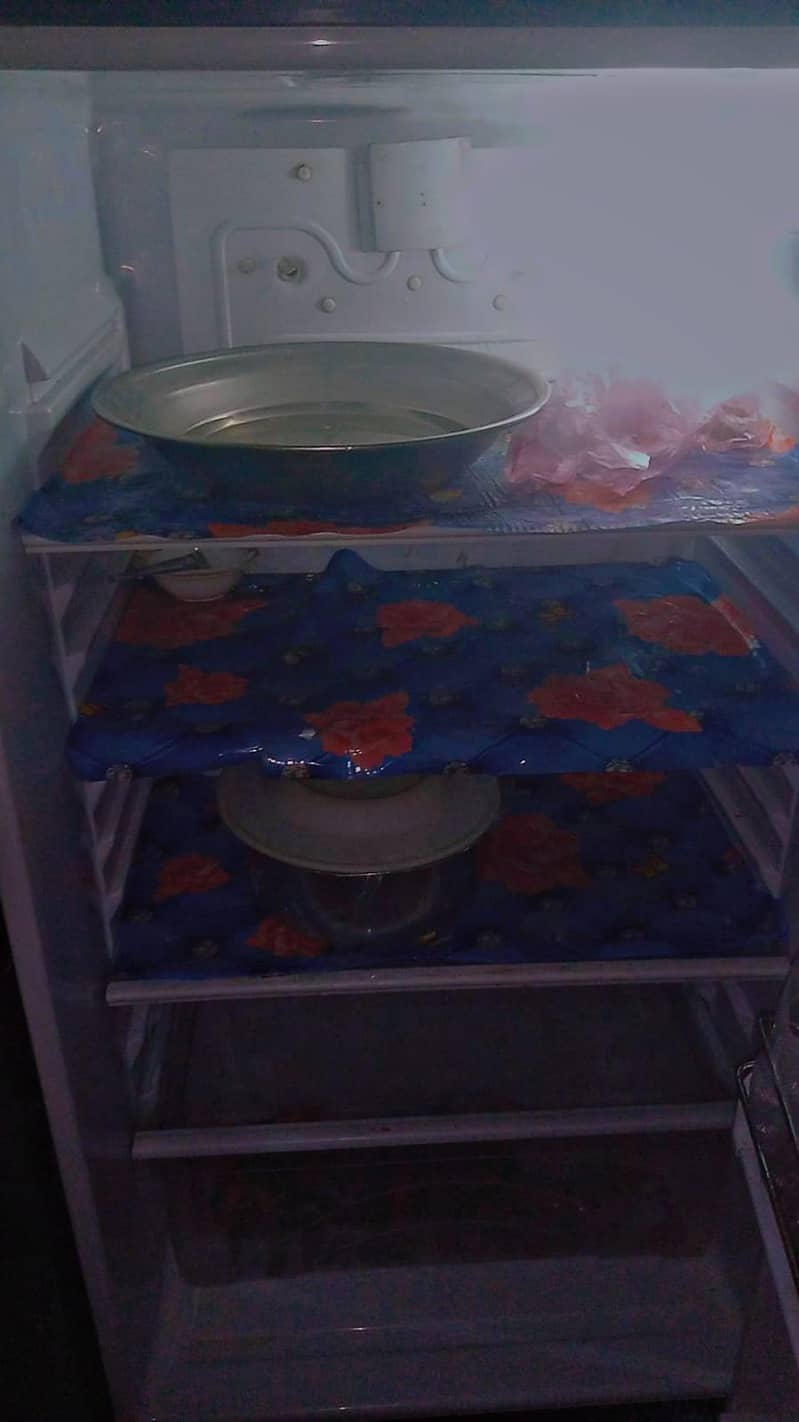 Waves Frige 2