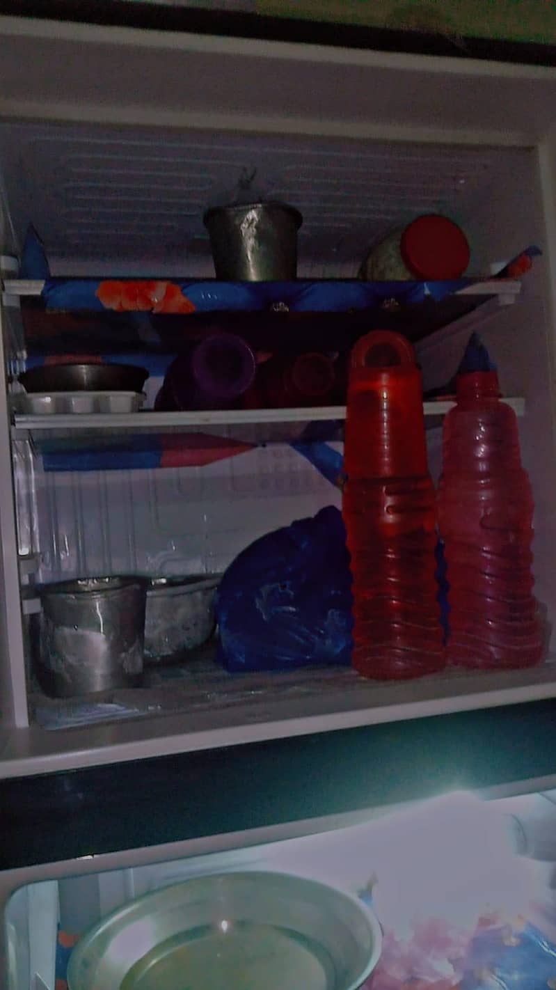 Waves Frige 3
