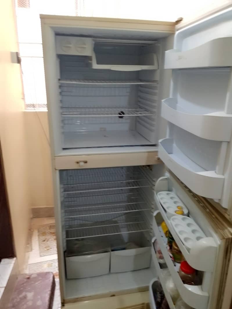 Pel Fridge 1