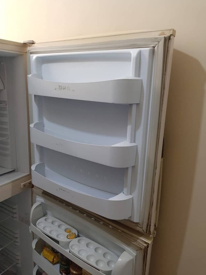 Pel Fridge 2