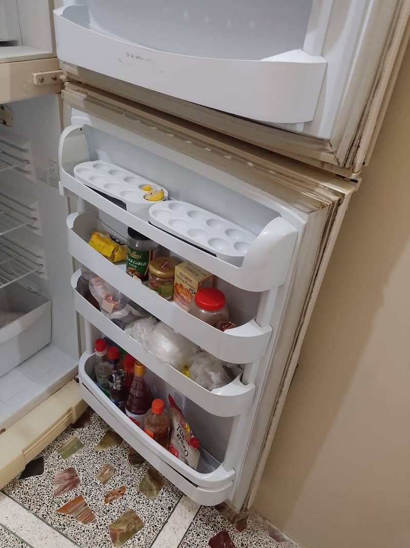 Pel Fridge 3