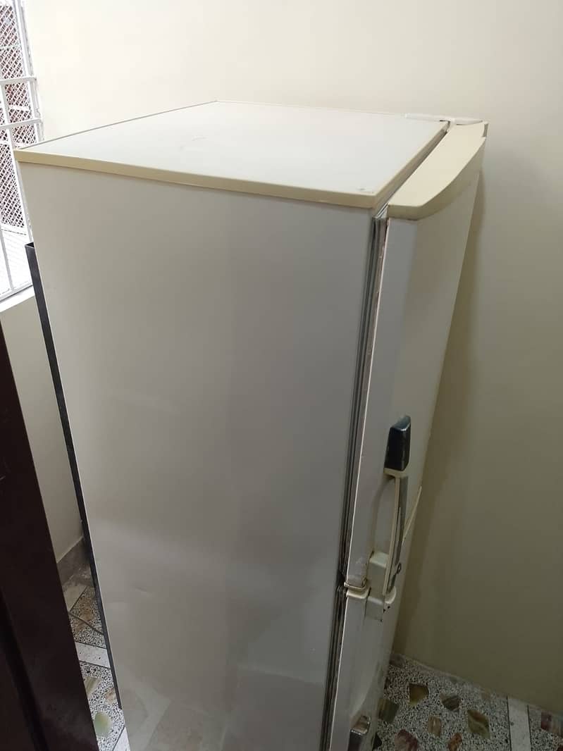 Pel Fridge 4