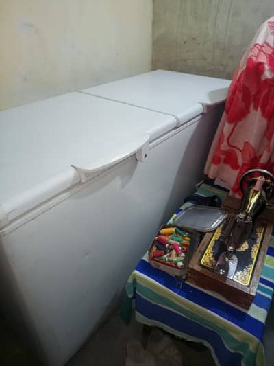 Hair/refrigerator/D freezer/urgent sell /o3024040959