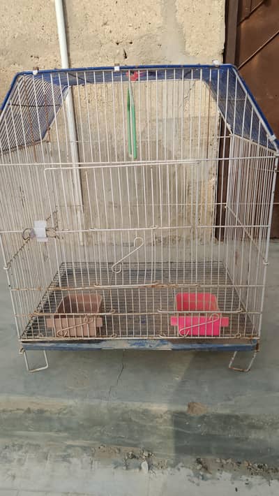 birds cage