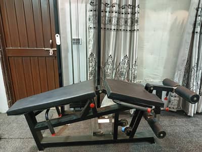 leg curl leg extension