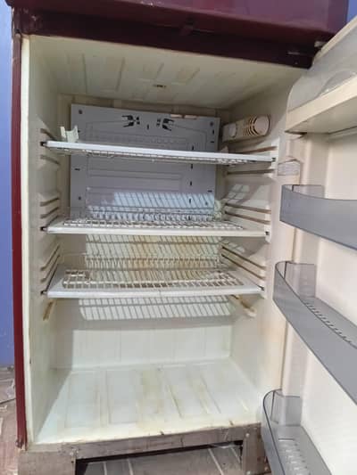 pel large size fridge call on 0332 2168084