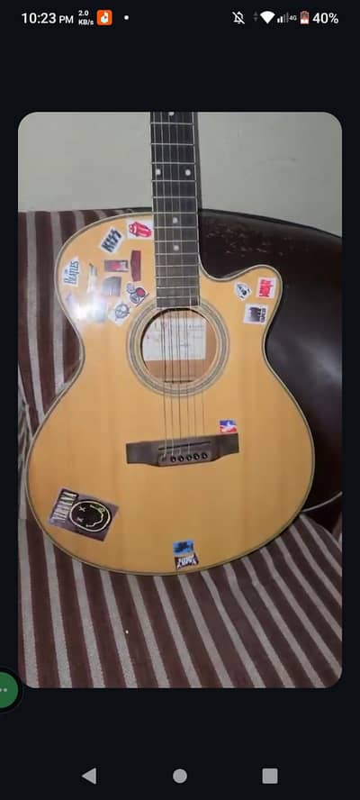 Professional Acoustic Guitar