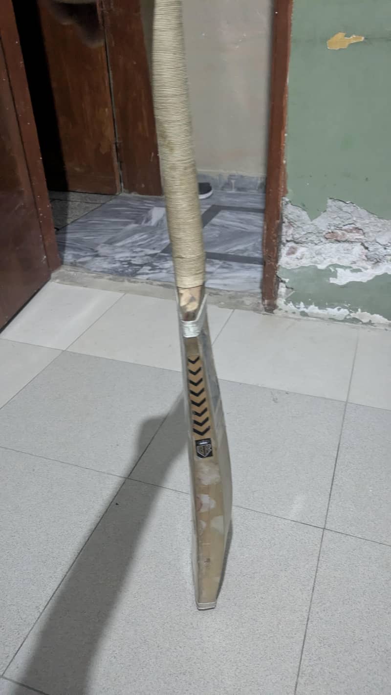 cricket 0