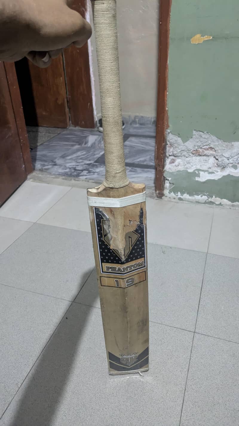 cricket 1