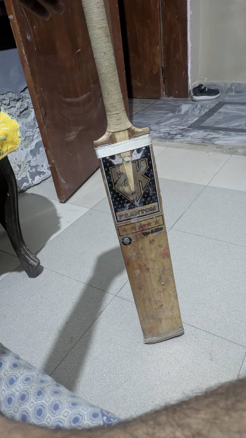 cricket 3