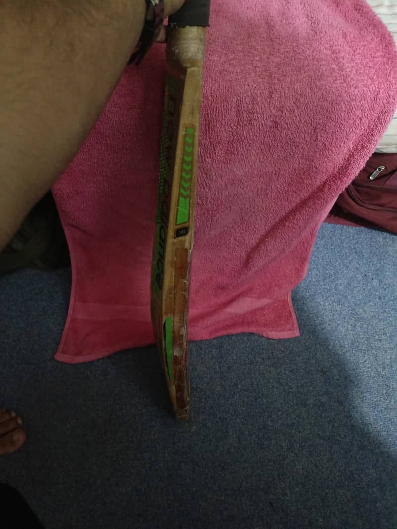 Hardball Bat 4
