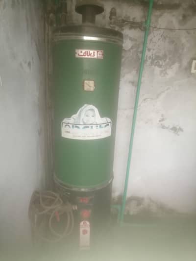 Delight 35 Gallon Gas Gayser