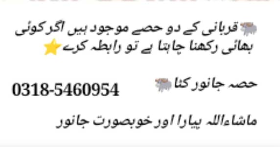 کٹادو دانت