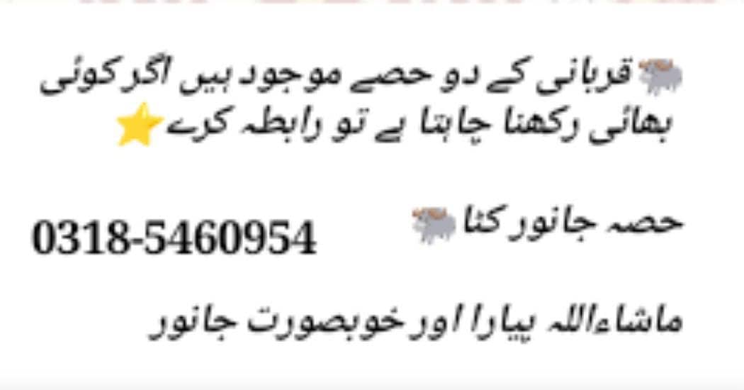 کٹادو دانت 0
