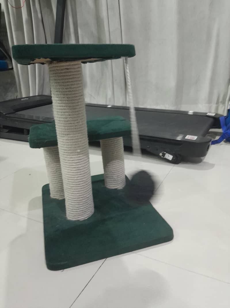 cat scrather 0