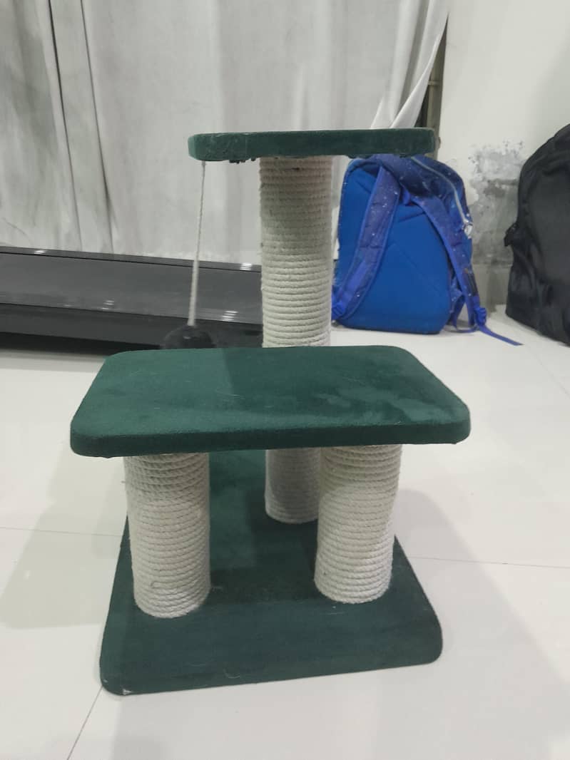 cat scrather 1