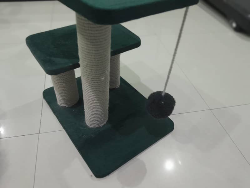 cat scrather 4