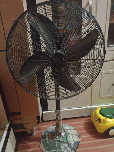 Rado fan