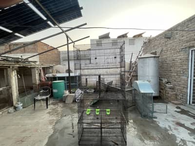Cages