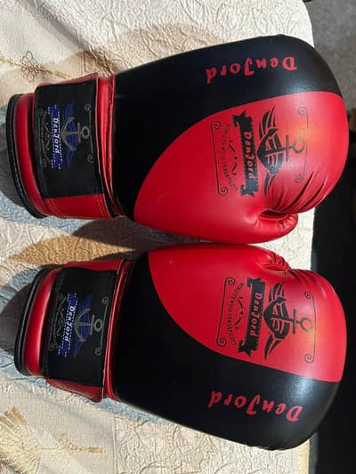 Denjord Boxing Gloves