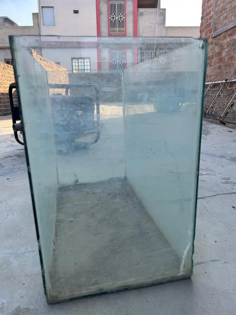 Large Fish Aquarium — photo 2