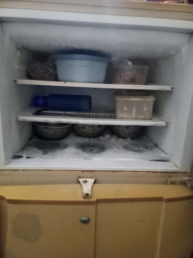 pell freezer 1