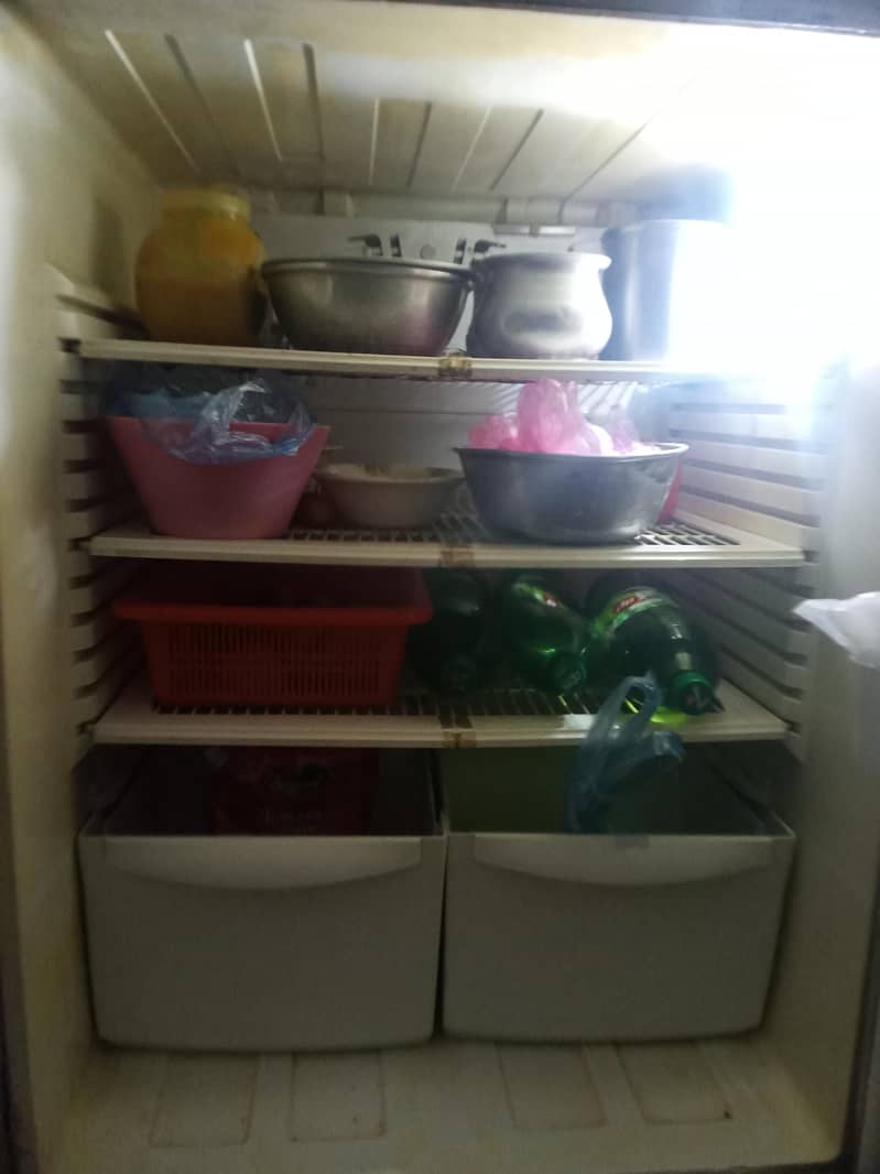 pell freezer 2