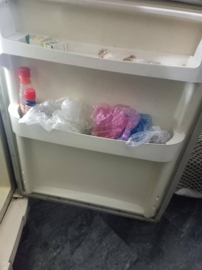 pell freezer 3