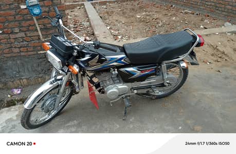 totally 6000 hazar chla ha