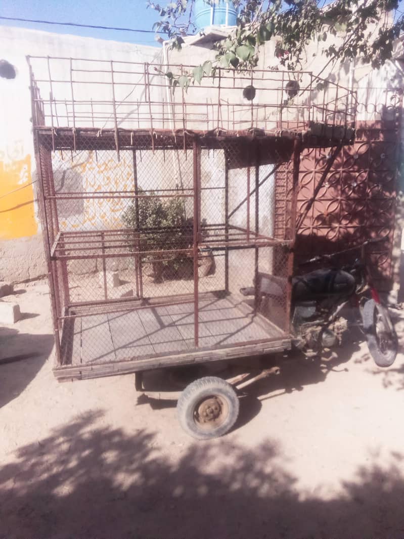 chingchi rickshaw 2