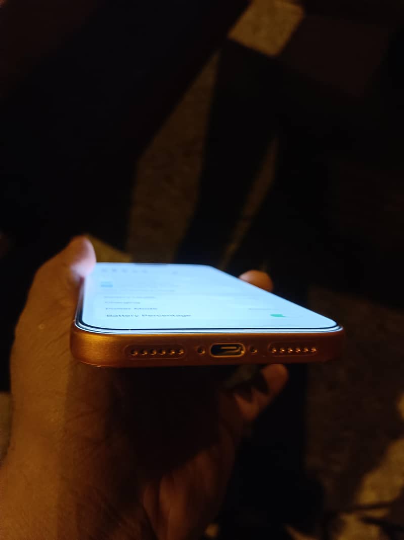 Iphone 17 Pro Max 4