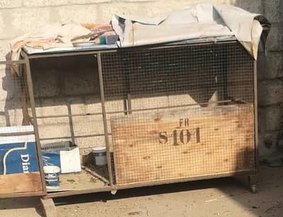 birds+ hen cage