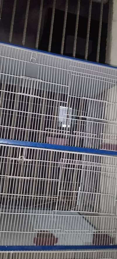 birds cage, big sizes  cage and clean cage
