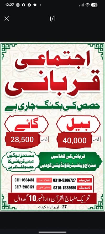Qurbani Bulls | Ijtimai Qurbani | Hissa/Share