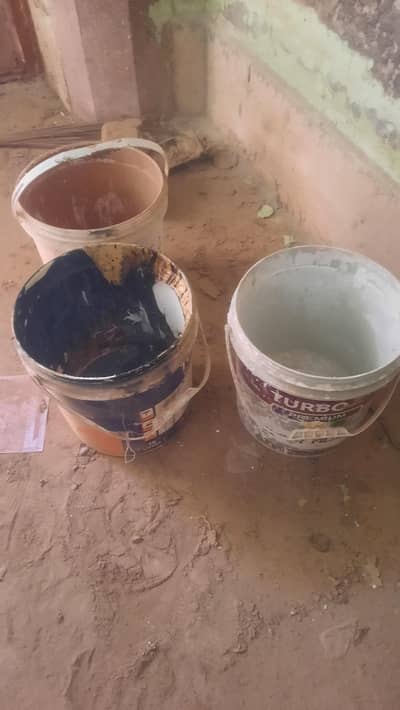 color wali baltian for sale