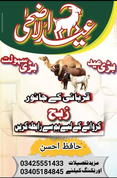 Qurbani Ka Janwar Ziba karwana ka Lia Rabita kara