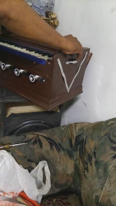Harmonium Indian BINA