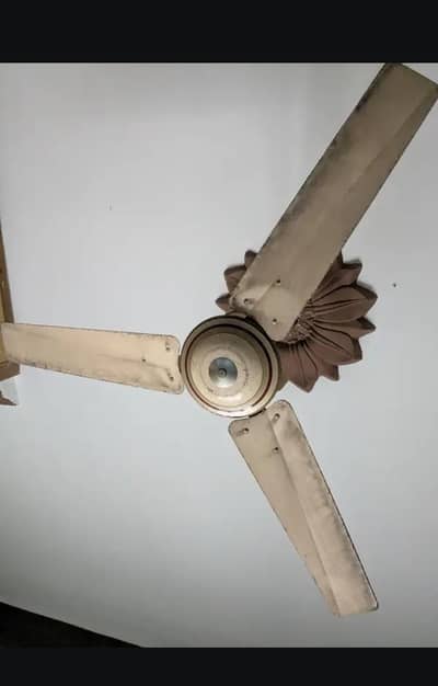 Ceiling Fans For Sale