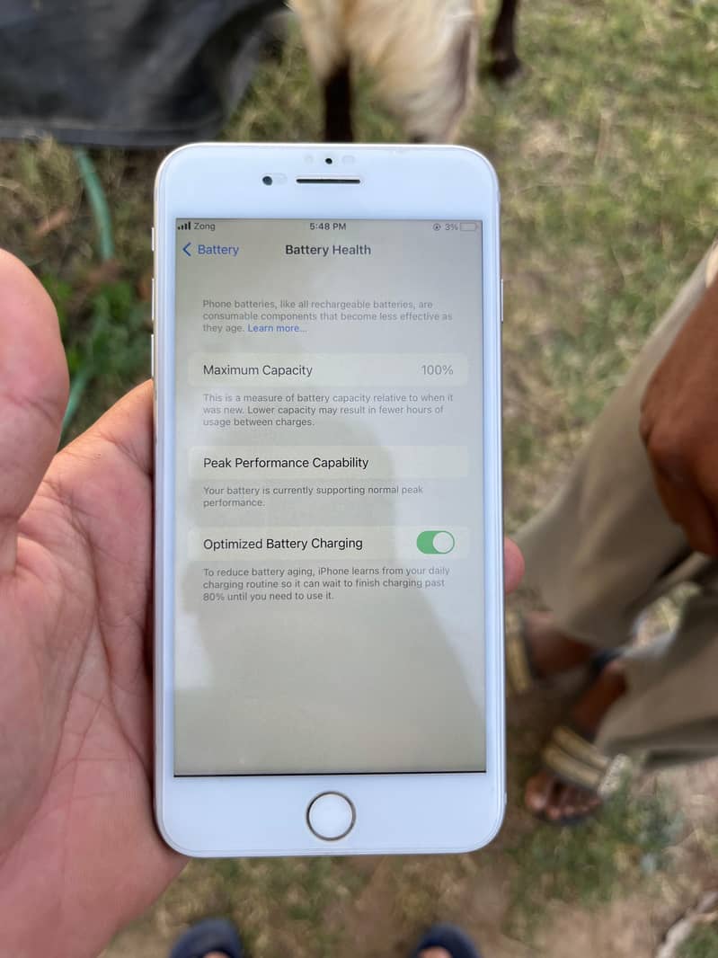 iPhone 7plus Pta approved 7