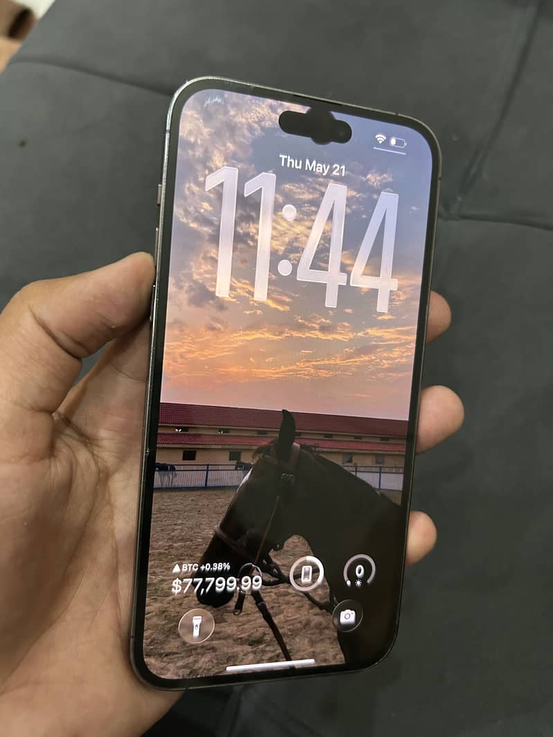 14 Pro Max 6