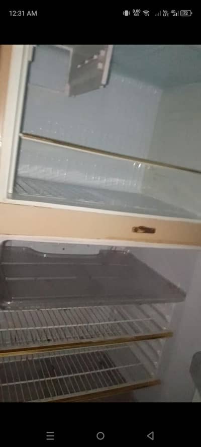 fridge large size