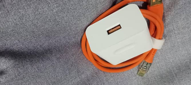 18watt / 66watt Heavy Duty Chargers