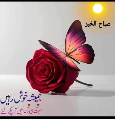 گھریلو ملازمہ کی ضرورت ہے