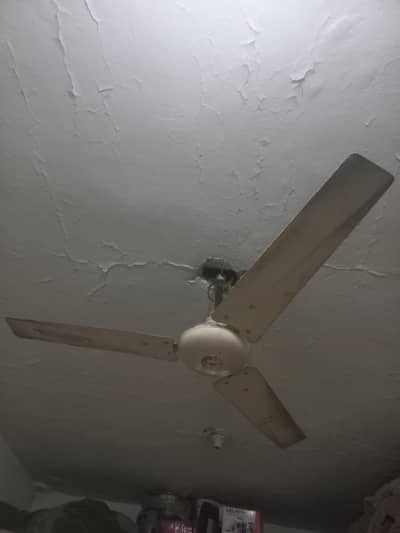 ceiling fan
