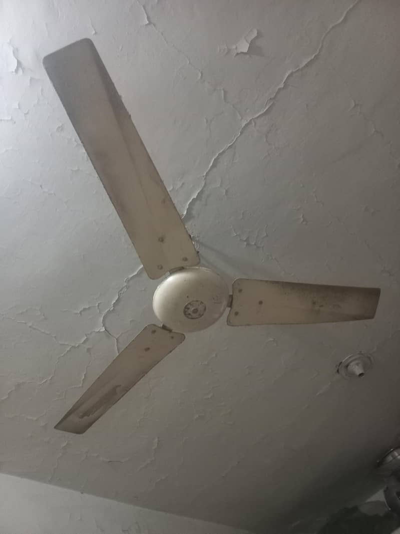 ceiling fan 1