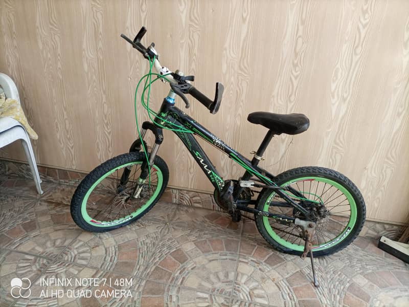 Bicycle 1
