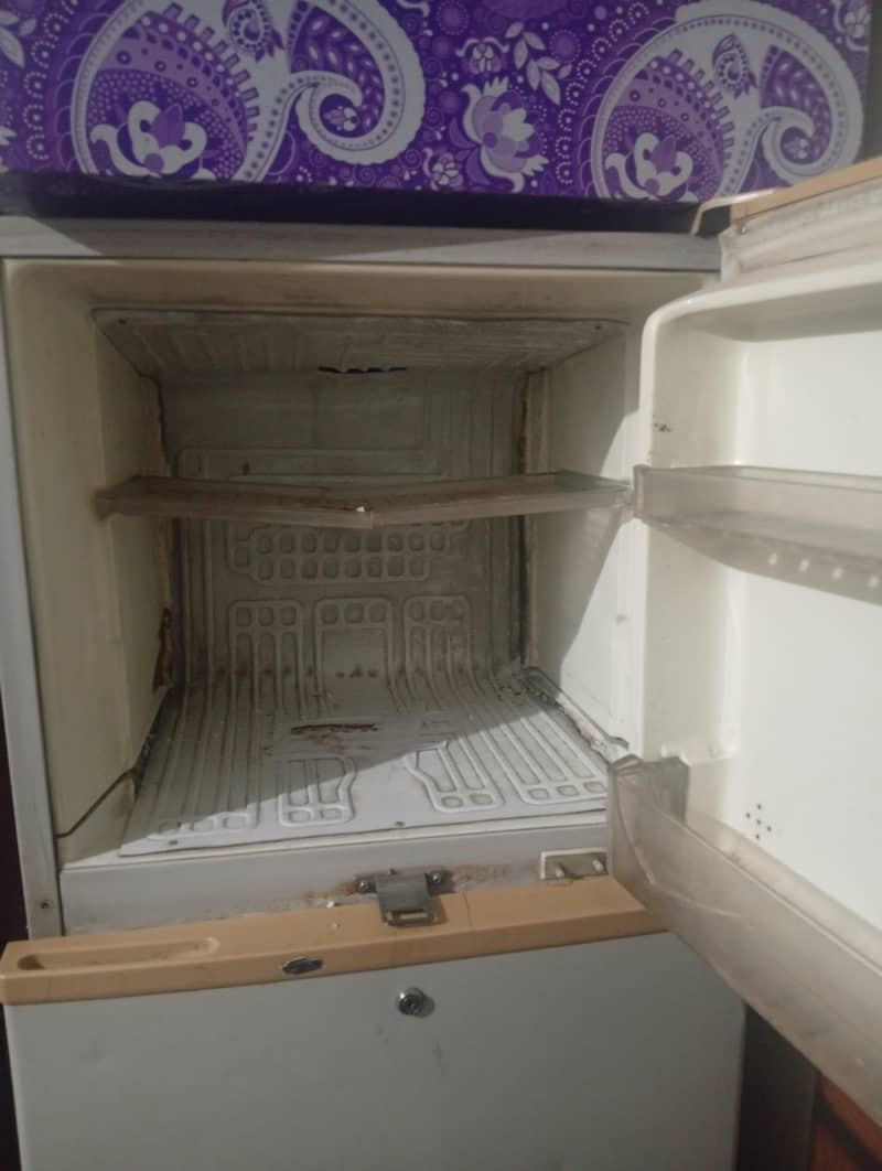 fridge 1