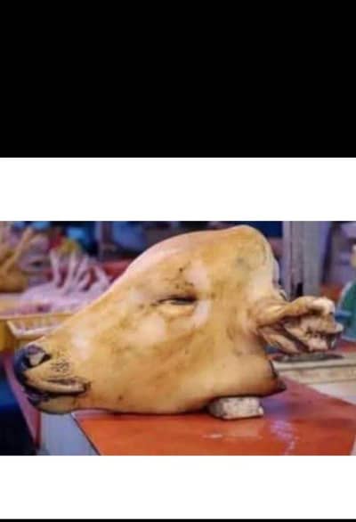qasai available for Bakra eid