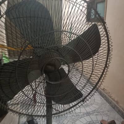 pedestal  fan for sale