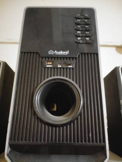 audionic woofer 10/10 condition